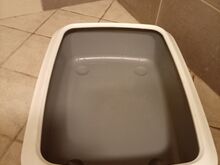 Товары для кошек