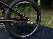 BMX (Black Label)
