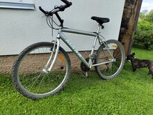 Jalgratas Classic Maxx 26"