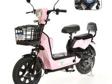 Beautiful Electric Scooter for adults