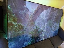 65" Philips Ambilight 4K UHD teler