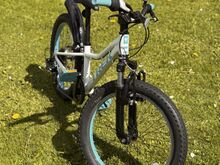 Trek Precaliber 20”