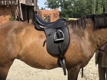 Седло Cavaletti 17