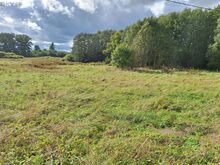 maatükk, maatulundusmaa 21352 m2 - Jõgevamaa
