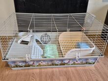 Jänes/küülik/merisiga puur Rabbit + hein, müsli