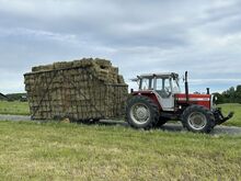 Сено для грызунов, лошадей