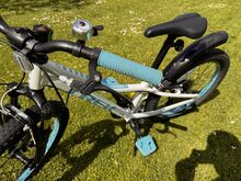 Trek Precaliber 20”