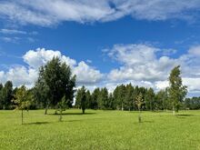Eksklusiivne krunt Peipsi järve kaldal!