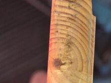 Täispuitraamis peegel 127×47 cm (kasutusjälgedega)