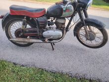 Panionia t5