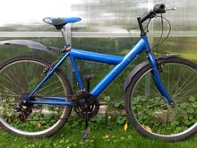 Laste jalgratas 26" Classic Star, size M