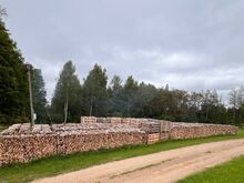 KUIVAD KÜTTEPUUD - MUST LEPP, SANGLEPP, KASK