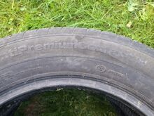 Suverehvid Continental
