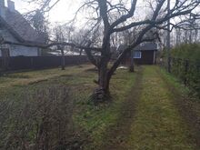 Ojaga piirnev krunt, elamumaa (Oblika 59, Pirita)