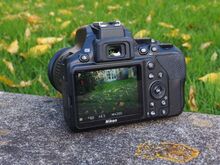 Nikon D3500 + 18-55 AF-P VR Kit