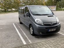 Kaubik Opel Vivaro 2012