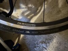 Cannondale Synapse Carbon Ultegra