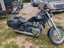 Triumph bonneville america
