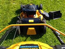 Muruniiduk Cub cadet