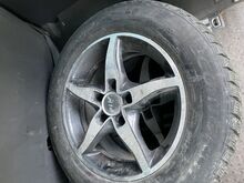 R16 valuveljed + talverehvid