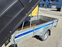 TIKI CP 300 LH KAANEGA 2020