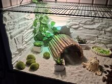 2 terraariumi soodushinnaga