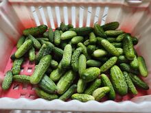 Tomatite ja kurkide müük.