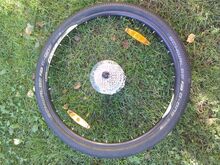 29” 8 kiirusega tagaratas, ketaspidur