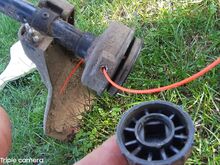 Trimmer `MTD``  Germany