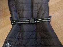 Koera talvevest soe