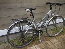 Nishiki hübriidratas