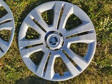 Skoda ilukilbid