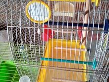 Linnu puur nelja kandiline komplektne 65×45×28