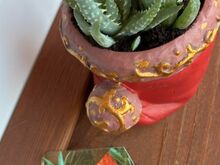 Aloe humilis
