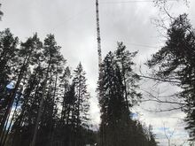 Старая мачта