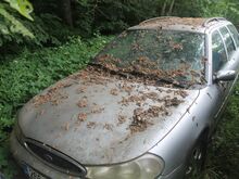 Müüa Ford mondeo
