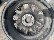 Veljed Autec 16”