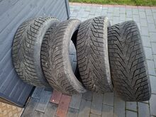Talverehvid R16