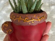 Aloe humilis