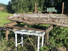 Halumasina estakaat, palgi estakaat