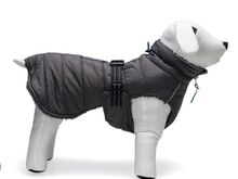 Koera talvevest soe