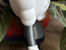 3D kujuke KAWS Dissected Companion (20 cm)