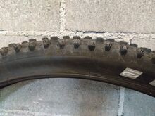 Jalgratta talverehvid Schwalbe Ice Spiker Pro 29"