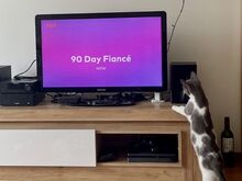 Philips 32” teler