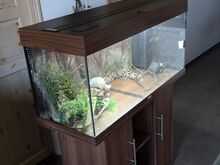 Аквариум 150 л Juwel