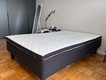 Voodi