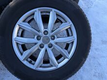 Audi 17 tolli originaal valuveljed rehvidega