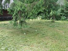 NIITMIST TARTUMAAL KUI KA TARTUS!
