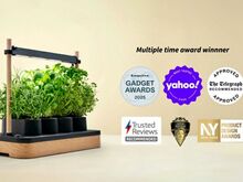 Nutiaed Auk Mini 1