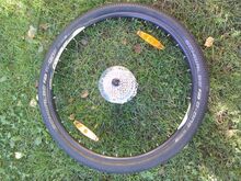 29” 8 kiirusega tagaratas, ketaspidur
